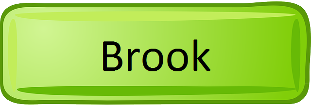 Brook